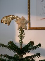 Sissel Edelbo - SISSEL EDELBO - Shooting Top Star