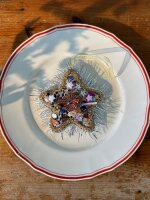 Sissel Edelbo - SISSEL EDELBO - Glitter Star Ornament